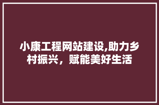 小康工程网站建设,助力乡村振兴，赋能美好生活