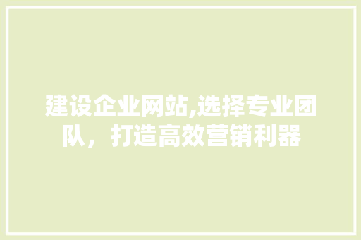 建设企业网站,选择专业团队，打造高效营销利器