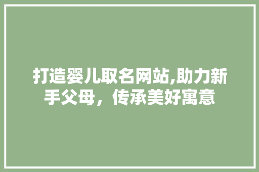 打造婴儿取名网站,助力新手父母，传承美好寓意