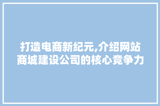 打造电商新纪元,介绍网站商城建设公司的核心竞争力