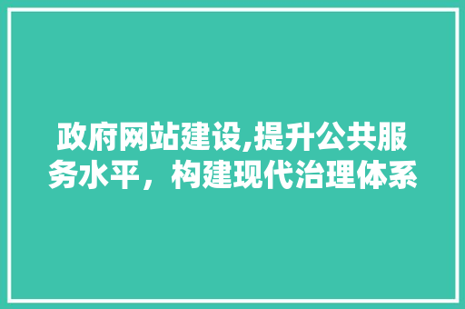 政府网站建设,提升公共服务水平，构建现代治理体系