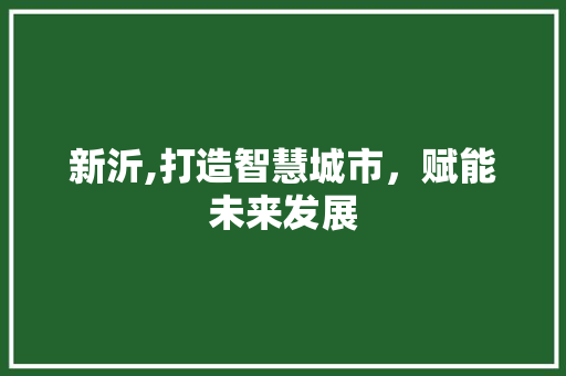 新沂,打造智慧城市，赋能未来发展