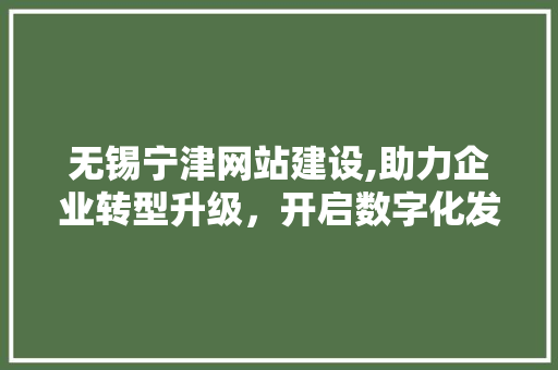 无锡宁津网站建设,助力企业转型升级，开启数字化发展新篇章
