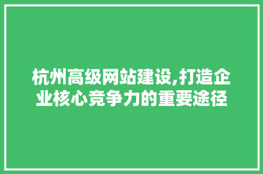 杭州高级网站建设,打造企业核心竞争力的重要途径