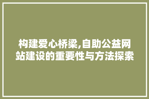 构建爱心桥梁,自助公益网站建设的重要性与方法探索