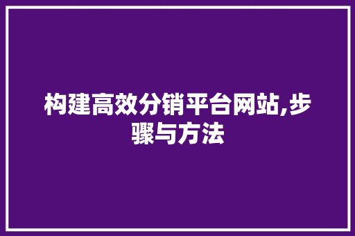 构建高效分销平台网站,步骤与方法