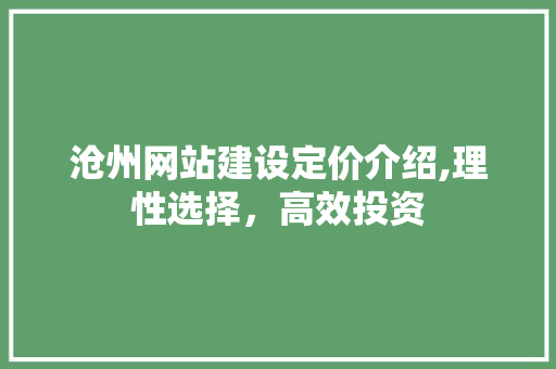 沧州网站建设定价介绍,理性选择，高效投资