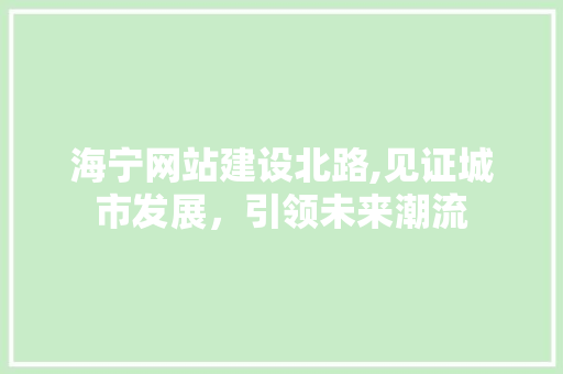 海宁网站建设北路,见证城市发展，引领未来潮流