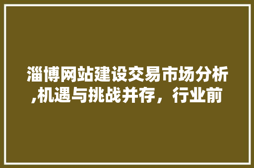 淄博网站建设交易市场分析,机遇与挑战并存，行业前景广阔