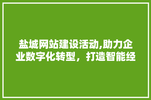 盐城网站建设活动,助力企业数字化转型，打造智能经济新引擎