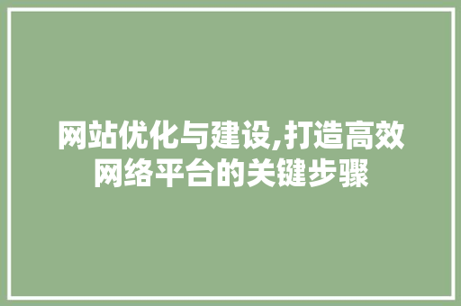 网站优化与建设,打造高效网络平台的关键步骤