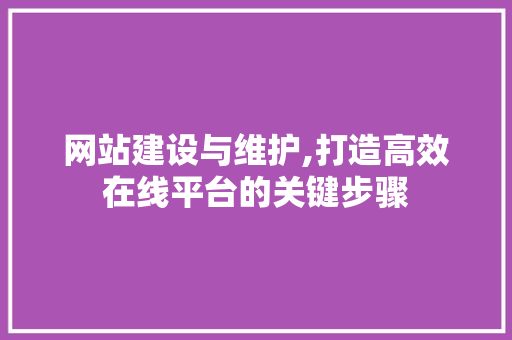 网站建设与维护,打造高效在线平台的关键步骤