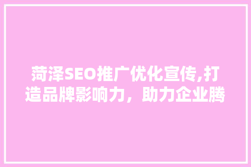 菏泽SEO推广优化宣传,打造品牌影响力，助力企业腾飞