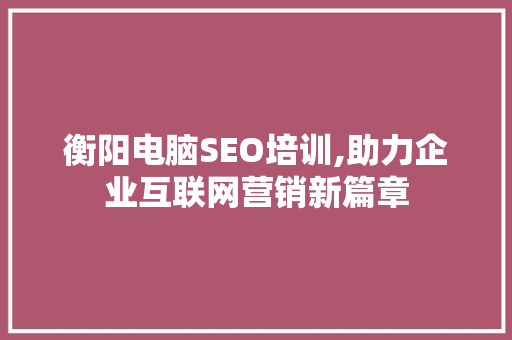 衡阳电脑SEO培训,助力企业互联网营销新篇章
