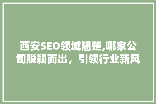 西安SEO领域翘楚,哪家公司脱颖而出，引领行业新风向
