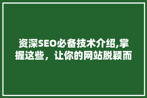 资深SEO必备技术介绍,掌握这些，让你的网站脱颖而出！