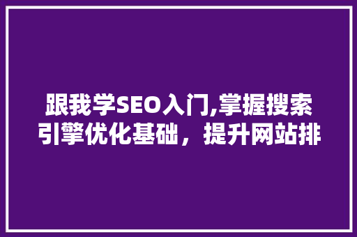 跟我学SEO入门,掌握搜索引擎优化基础，提升网站排名
