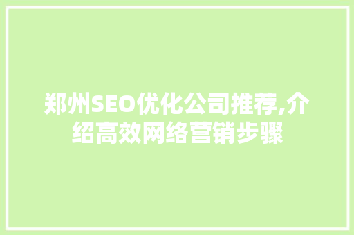 郑州SEO优化公司推荐,介绍高效网络营销步骤