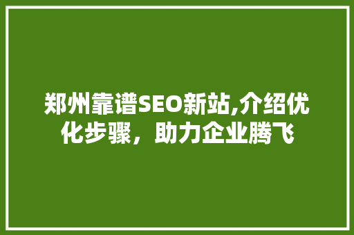郑州靠谱SEO新站,介绍优化步骤，助力企业腾飞