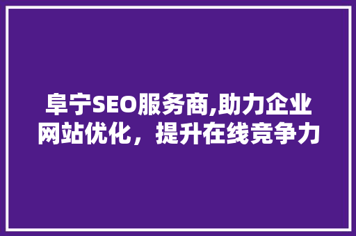 阜宁SEO服务商,助力企业网站优化，提升在线竞争力
