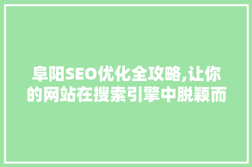 阜阳SEO优化全攻略,让你的网站在搜索引擎中脱颖而出