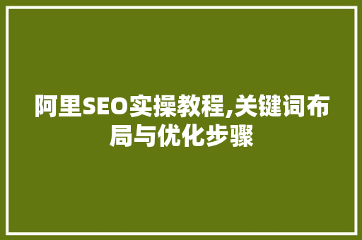 阿里SEO实操教程,关键词布局与优化步骤