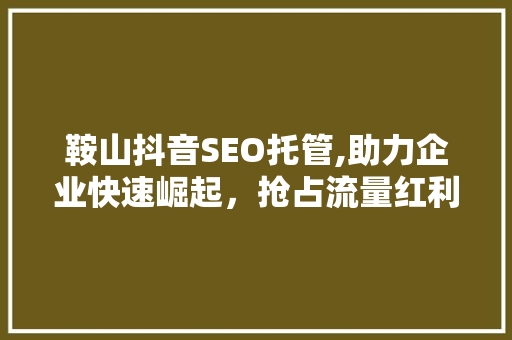 鞍山抖音SEO托管,助力企业快速崛起，抢占流量红利