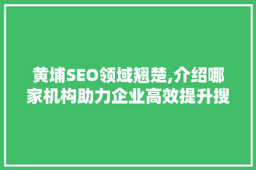黄埔SEO领域翘楚,介绍哪家机构助力企业高效提升搜索引擎排名