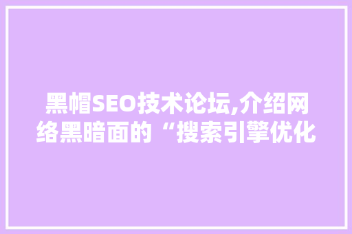 黑帽SEO技术论坛,介绍网络黑暗面的“搜索引擎优化”艺术