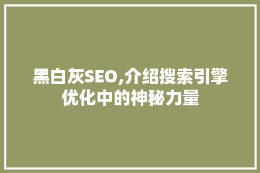 黑白灰SEO,介绍搜索引擎优化中的神秘力量