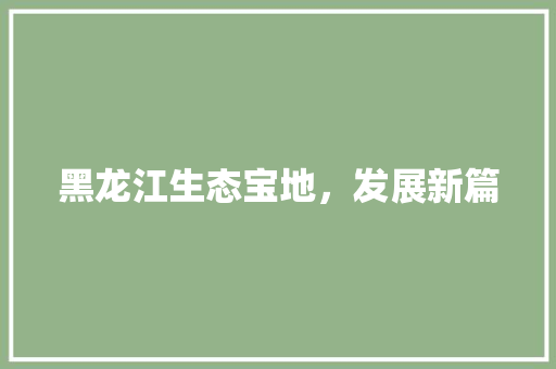 黑龙江生态宝地，发展新篇