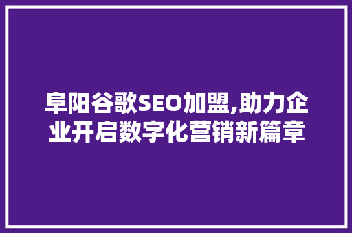 阜阳谷歌SEO加盟,助力企业开启数字化营销新篇章