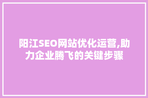 阳江SEO网站优化运营,助力企业腾飞的关键步骤