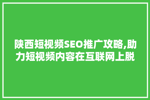 陕西短视频SEO推广攻略,助力短视频内容在互联网上脱颖而出