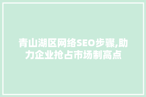 青山湖区网络SEO步骤,助力企业抢占市场制高点