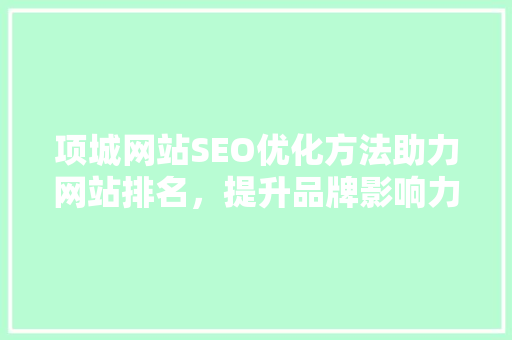项城网站SEO优化方法助力网站排名，提升品牌影响力