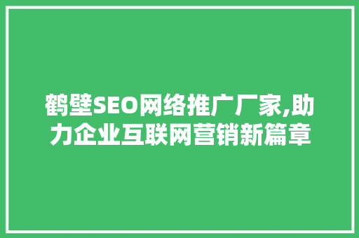 鹤壁SEO网络推广厂家,助力企业互联网营销新篇章