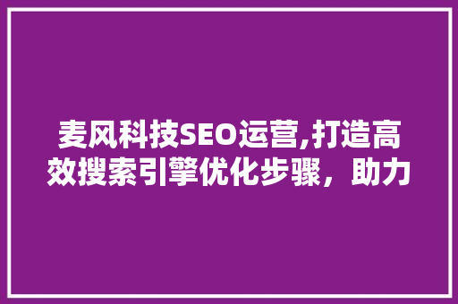 麦风科技SEO运营,打造高效搜索引擎优化步骤，助力企业提升品牌影响力