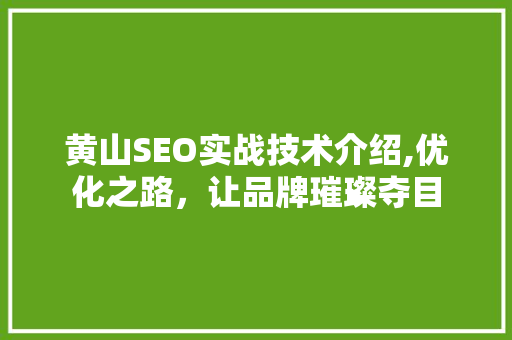 黄山SEO实战技术介绍,优化之路，让品牌璀璨夺目