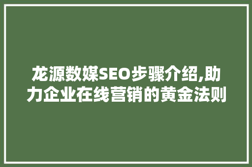龙源数媒SEO步骤介绍,助力企业在线营销的黄金法则