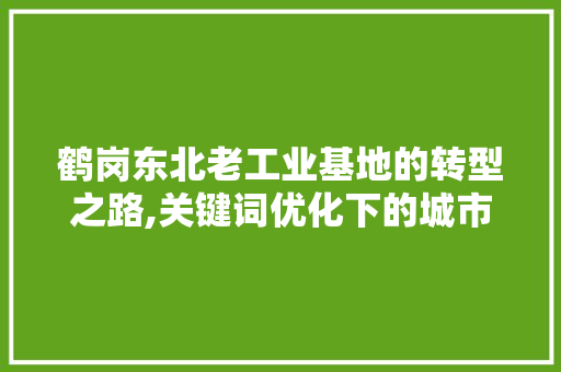 鹤岗东北老工业基地的转型之路,关键词优化下的城市探索