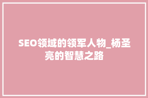 SEO领域的领军人物_杨圣亮的智慧之路