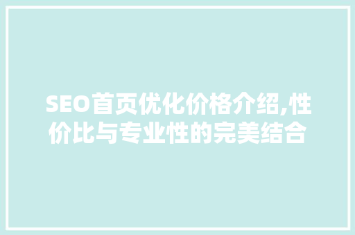SEO首页优化价格介绍,性价比与专业性的完美结合
